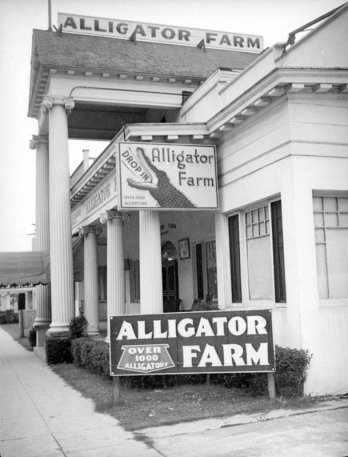 alligator-farm-los-angeles