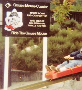 grouse-mountain-coaster-north-vancouver