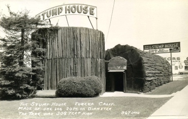 stump-house-eureka