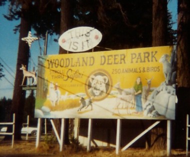 woodland-deer-park-cave-junction2