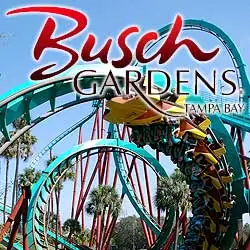 Bush-Gardens-Tampa-Bay