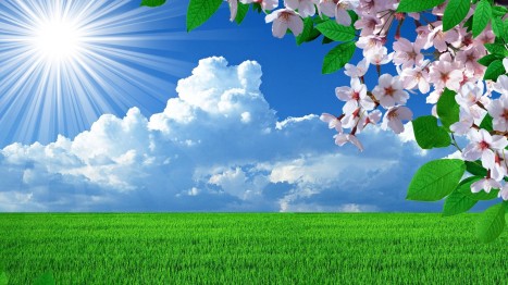 spring nature wallpapers high resolution